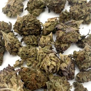 Citrus Burst (Sativa)