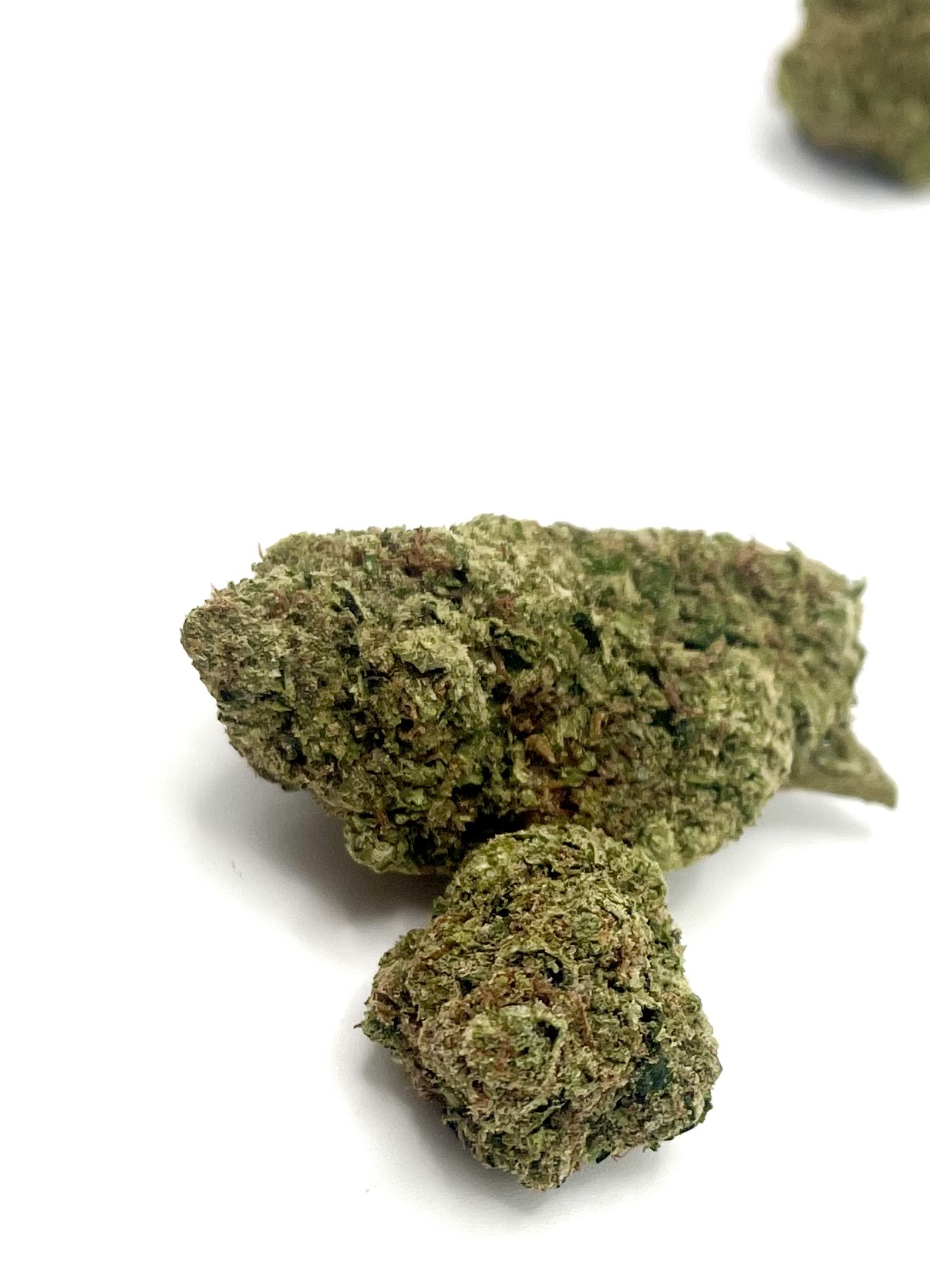 LEMON CHERRY GELATO (INDICA-HYBRID) - Image 12