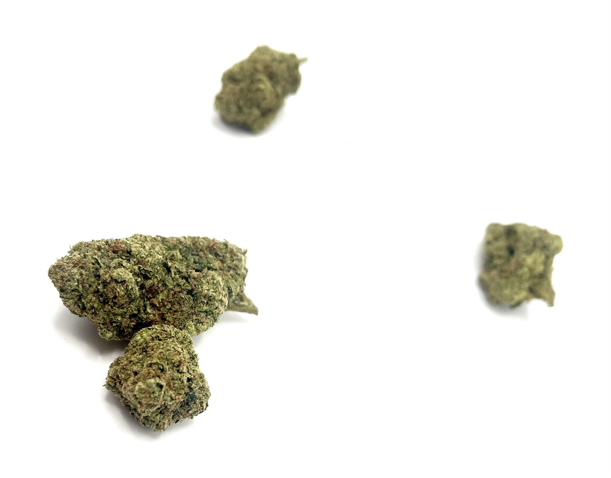 LEMON CHERRY GELATO (INDICA-HYBRID) - Image 11