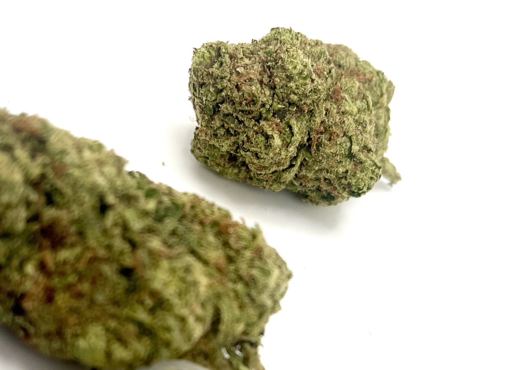 LEMON CHERRY GELATO (INDICA-HYBRID) - Image 2