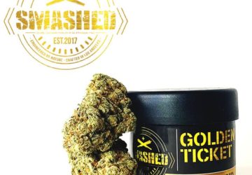 Smashed Golden Ticket 3.5g Jar (HYBRID) 28%THC