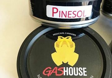Gas House Pinesol 3.5g Can
