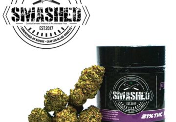 Smashed Purple Punch 3.5g Jar (Indica) 21%THC