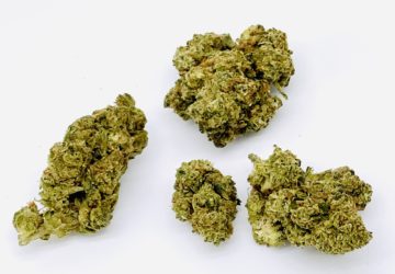 DOSIDOS OUTDOOR “INDICA DOMINANT HYBRID” $100oz SPECIAL!