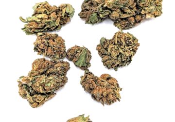 Sherbet INDICA-HYBRID (Outdoor) JUST $80 PER OZ (ASK ABOUT QPs)