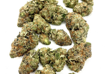 PEANUT BUTTER RUNTZ INDOOR (INDICA-HYBRID) $120oz (Ask about QP Pricing)