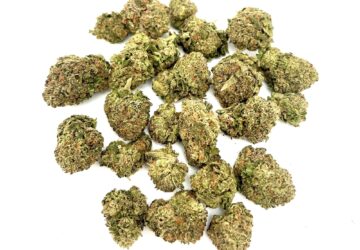 RUNTZ INDOOR HYBRID $100oz (Ask about QP Pricing)